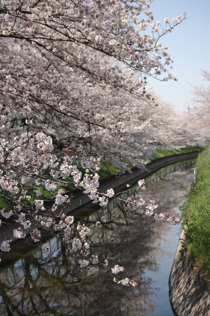 pentax k-7 045