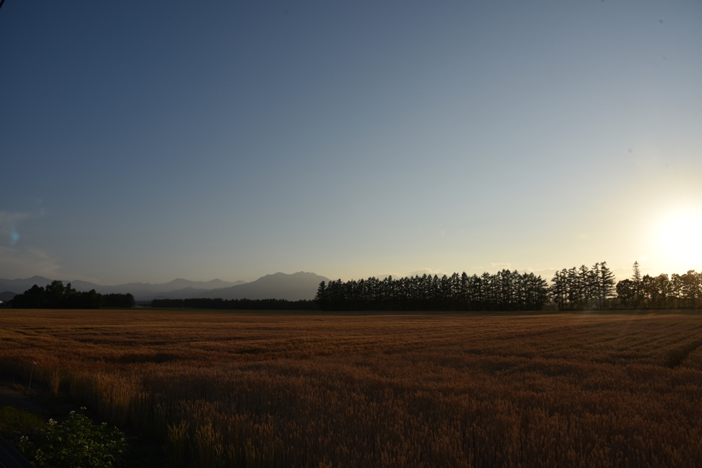 十勝の夕暮れ