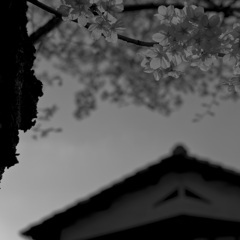 永遠に