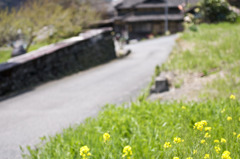 小道　通れば