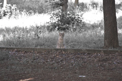 ぽつり
