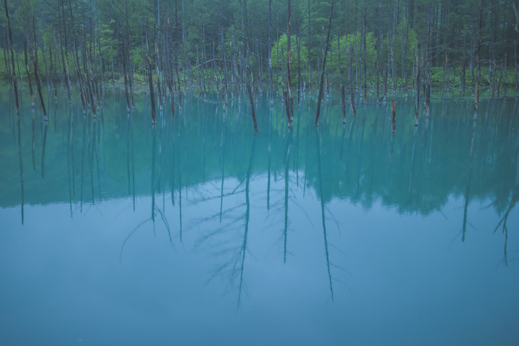 青い池