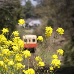 春運ぶ