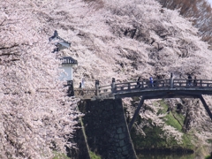 桜の園へ渡る橋