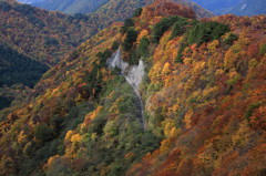 林道