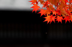 2013　秋