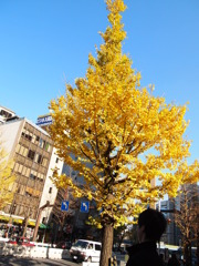 新宿駅の近くで。