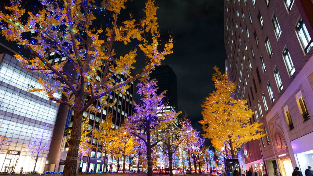 御堂筋のイルミネーションその２