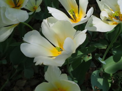 杭瀬、宮前公園