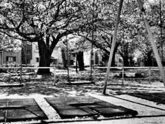 けっこう年期の入ったブランコ