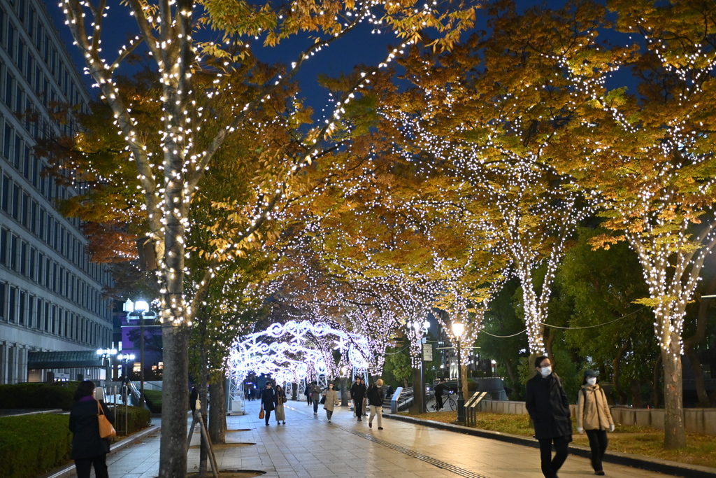 大阪市役所前のイルミネーション
