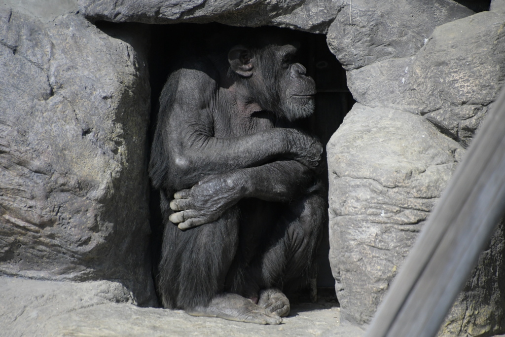 寒いわぁ～、誰か、ダウン貸して～。