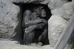 寒いわぁ～、誰か、ダウン貸して～。