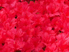 大阪中之島辺り