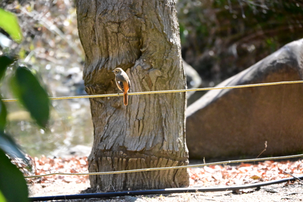 元浜緑地公園２