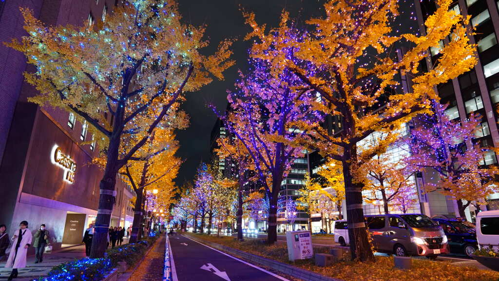 御堂筋のイルミネーションその１