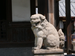 長遠寺の狛犬右