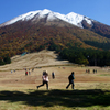 Mt.Dricious