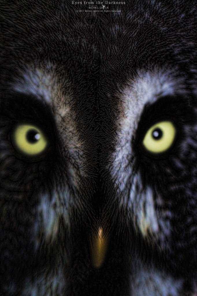 Eyes from the Darkness