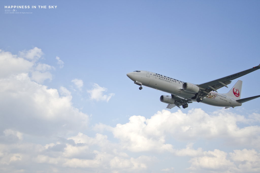 HAPPINESS IN THE SKY