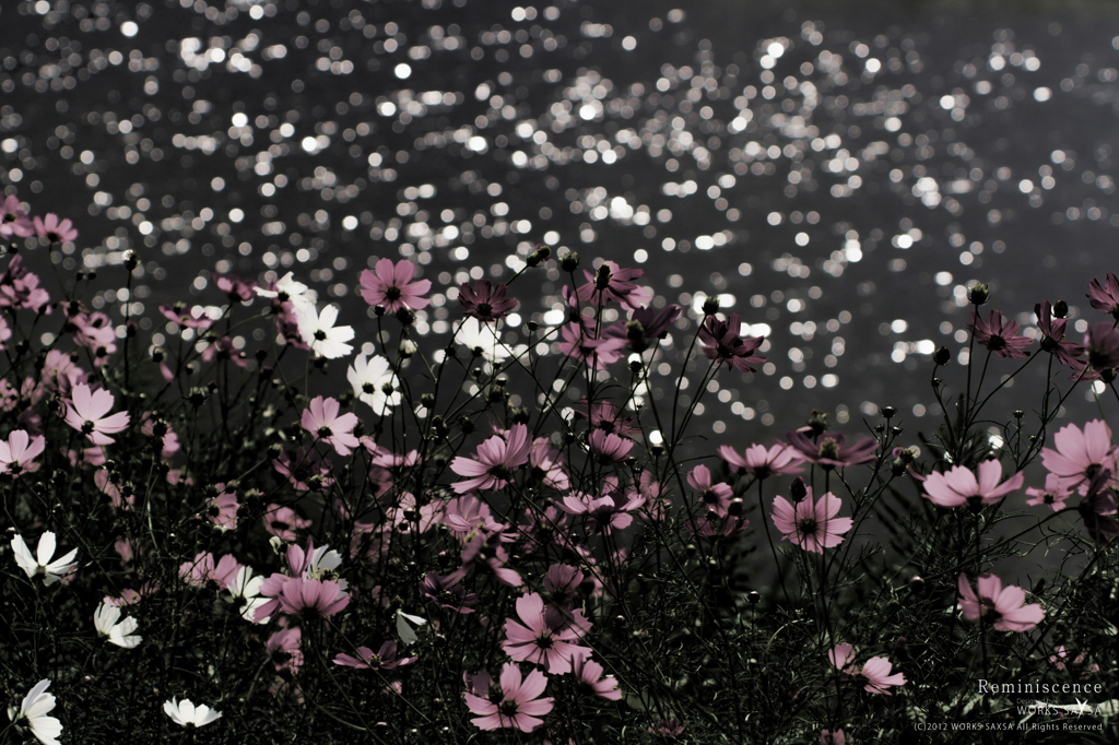 Reminiscence