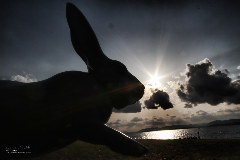 Sprint of rabit