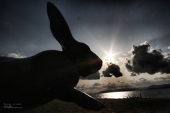 Sprint of rabit