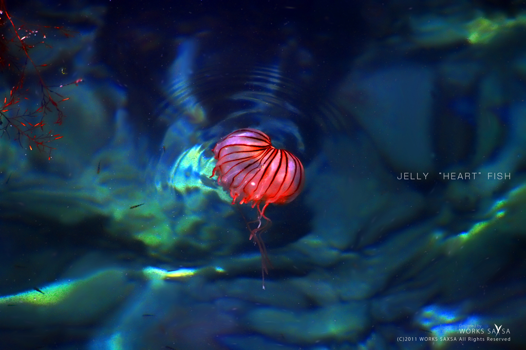 JELLY “HEART”FISH
