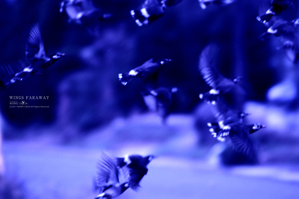 WINGS FARAWAY