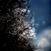 Far Away Blue