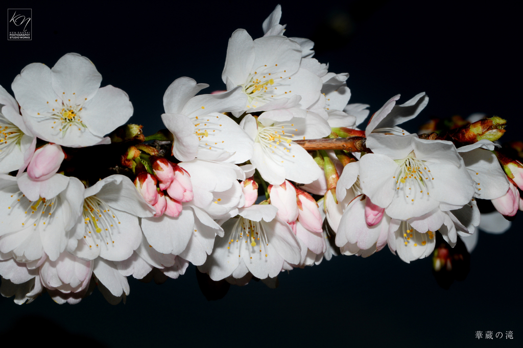 華蔵の滝
