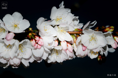 華蔵の滝