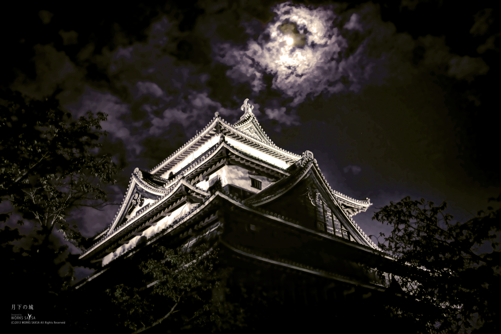 月下の城