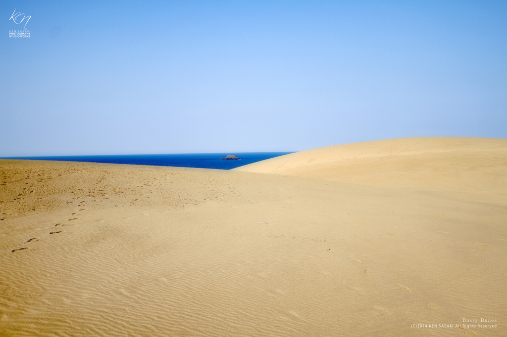 Busty Dunes