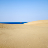 Busty Dunes