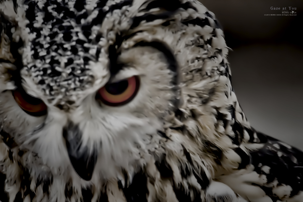 Gaze at You