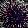 Diadema