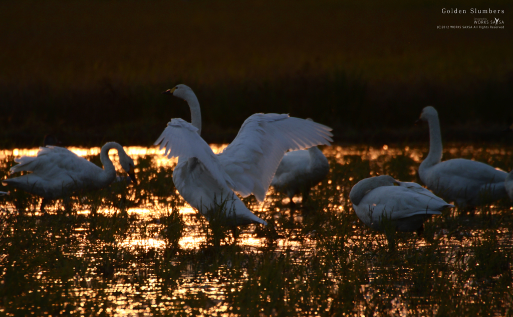 Golden Slumbers