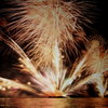 Spring of Fire