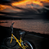 Solitary Journey