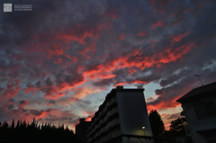 夕暮団地