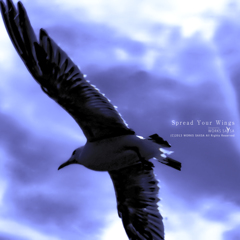 Spread Your Wings
