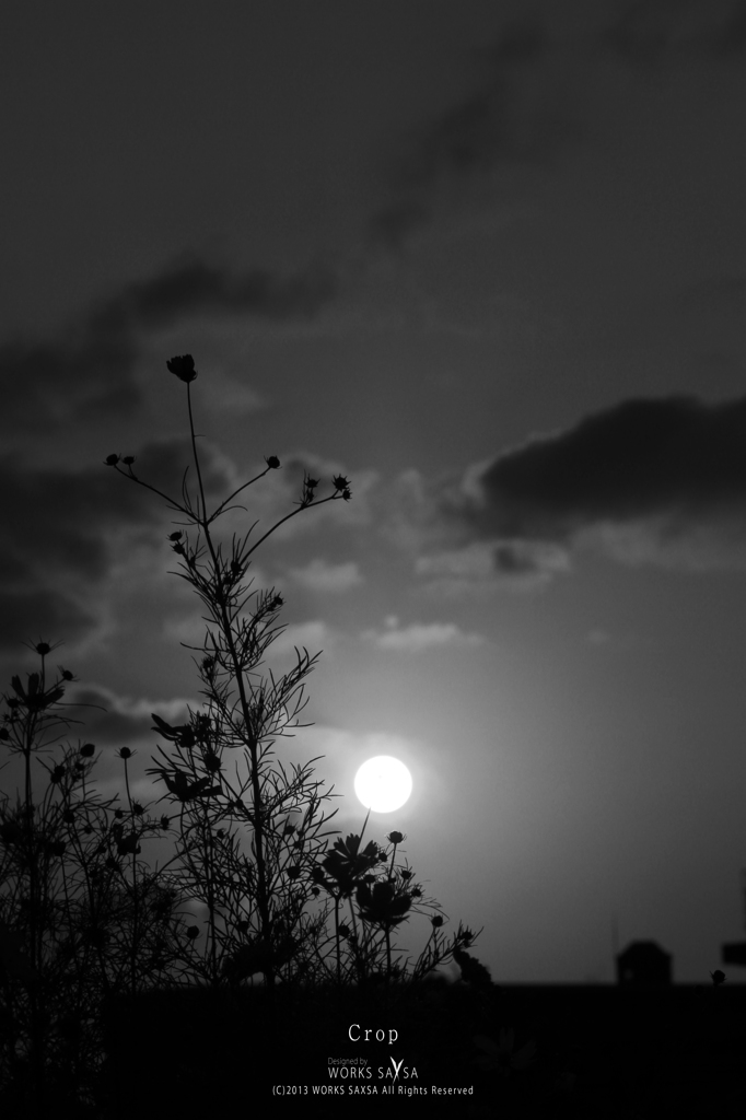 Crop