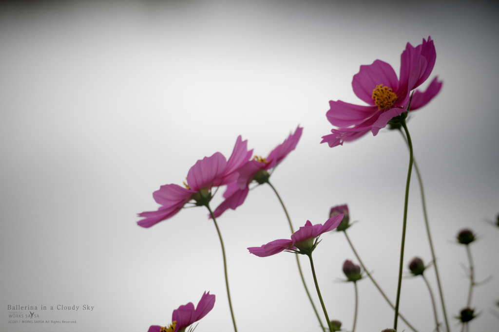 Ballerina in a Cloudy Sky