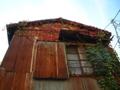 古い建物と紅葉①