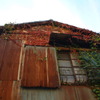 古い建物と紅葉①
