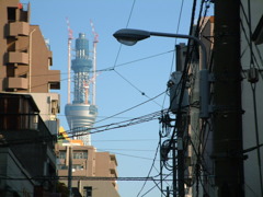 ふと見るとスカイツリー