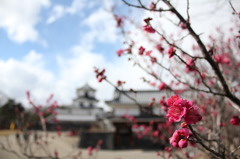 早春