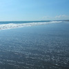 海