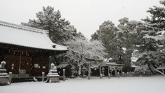 雪の日の神社